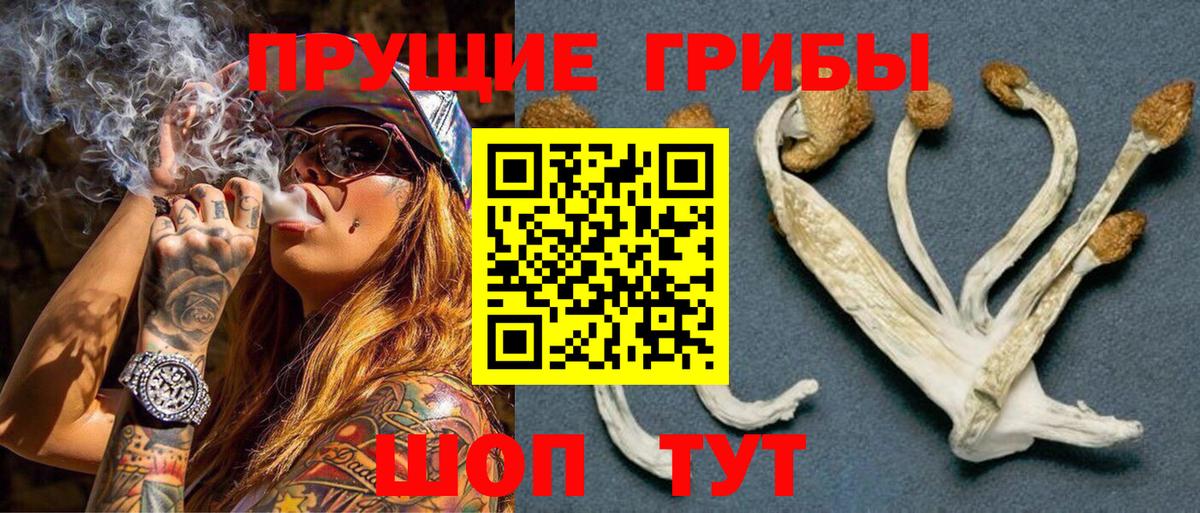 Назарово  Галлюциногенные грибы Psilocybe  Галлюциногенные грибы Magic Shrooms  Вход с VPN 