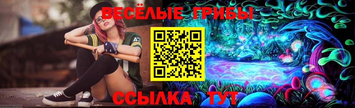 Псилоцибиновые грибы ЛСД Назарово